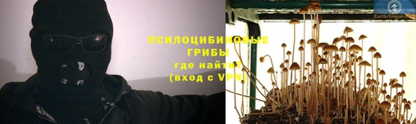 эйфоретик Алексин