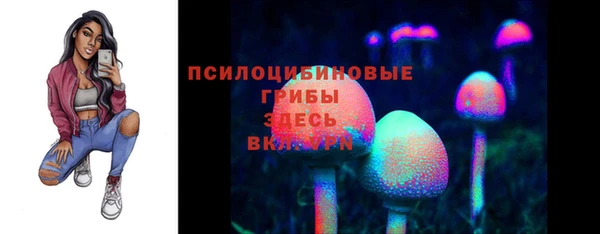 эйфоретик Алексин