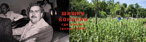 дурь Алексеевка
